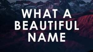 ab67616d0000b273a0c48b2a6eab12b6bca444b0